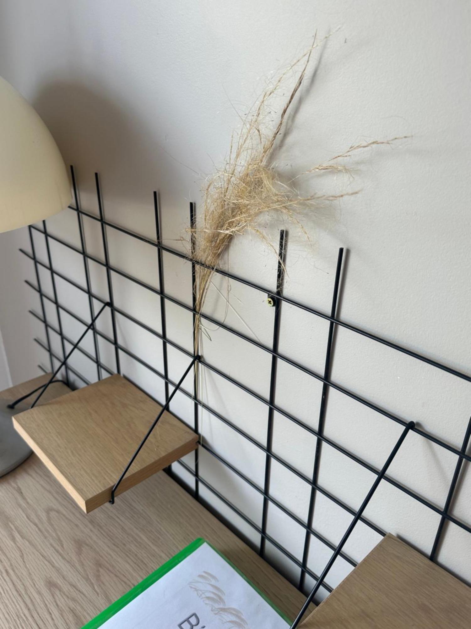 Апартаменты Appart Miscanthus Calme Et Cosy Лорьян Экстерьер фото